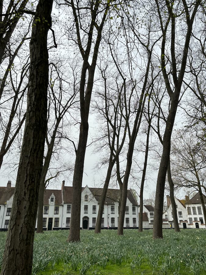 Sanity and insanity, 6 Apr 2024