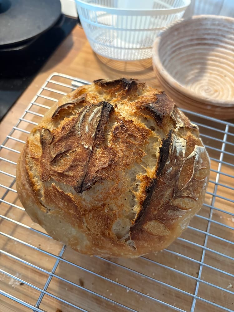 My first successful sourdough loaf, 23 Feb 2026